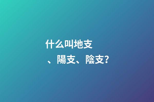 什么叫地支、陽支、陰支？